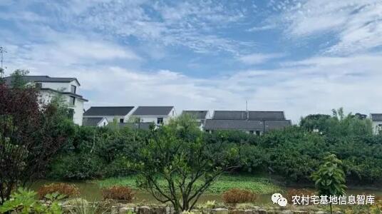 打造“美丽乡村”后，上海这个村宅基地租金年收入从5000升至7万元