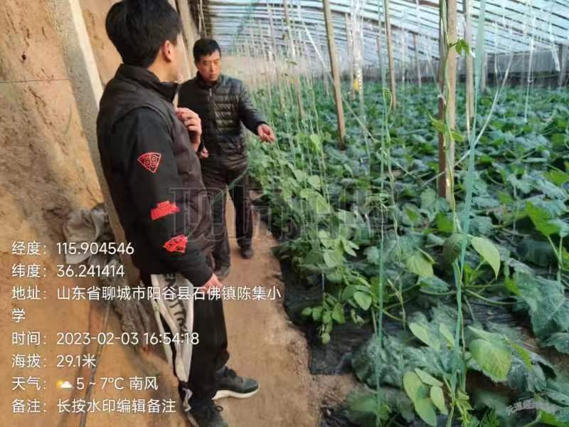 “农农”助兴||我校“乡村振兴支农志愿服务队”寒假开展农业技术帮扶活动