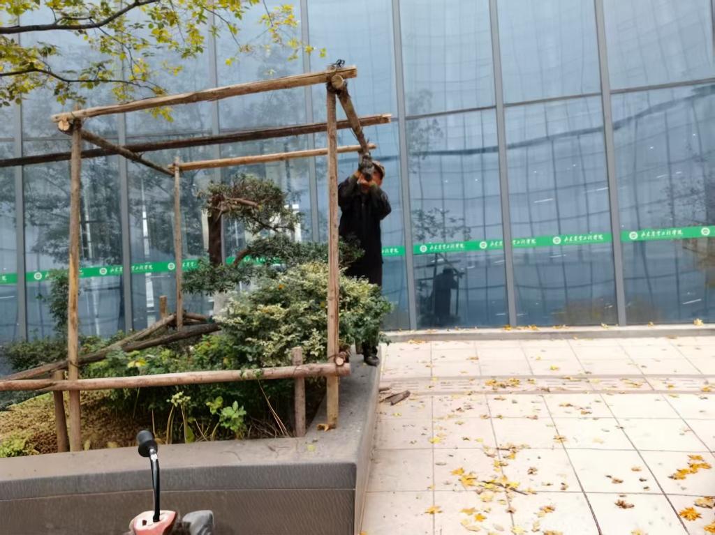 e1c9507fea289d99ab1794ade6e0d1b9