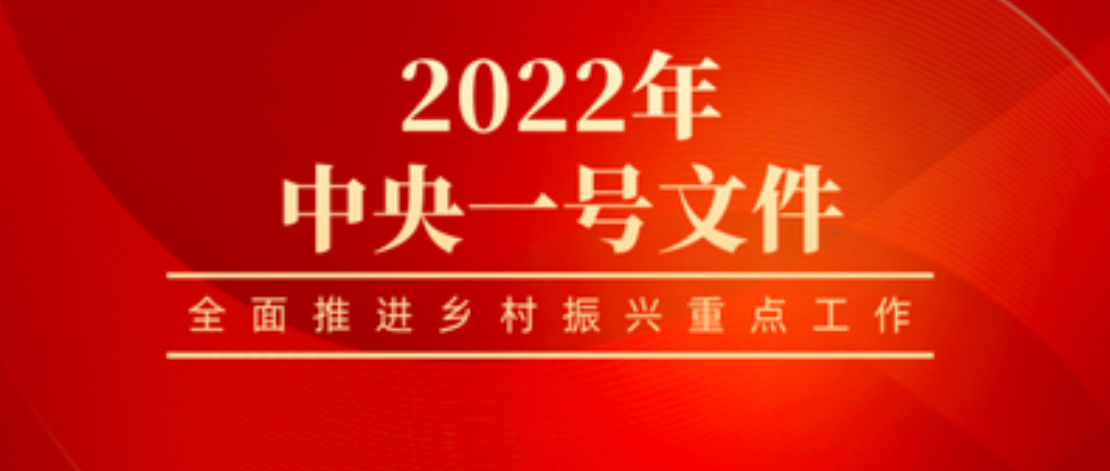 中共中央 国务院关于做好2022年全面推进乡村振兴重点工作的意见